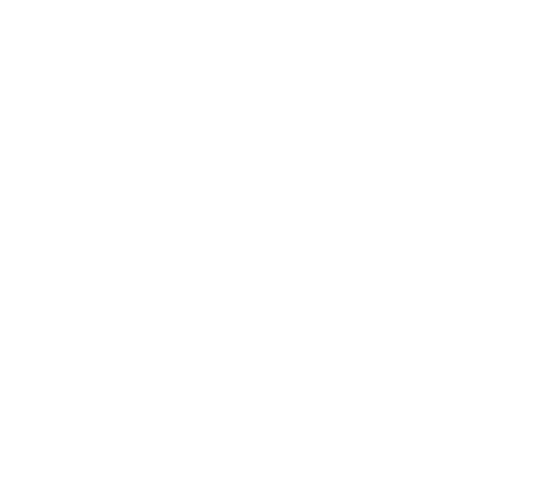 CYS Logo White